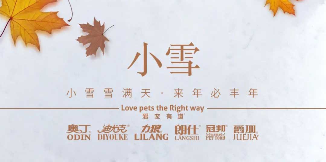 小雪丨天地初寒，歲月安暖